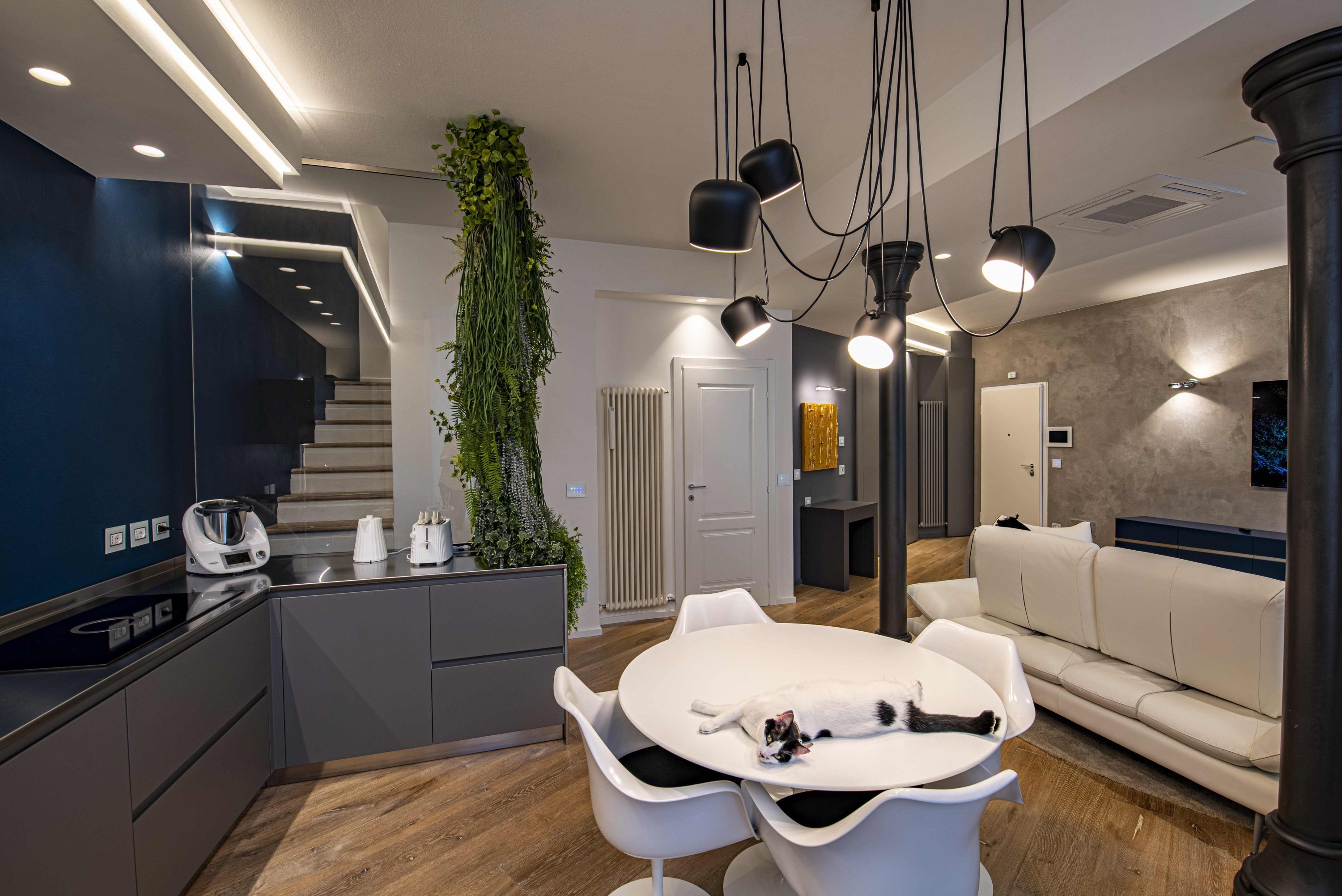 Open space moderno con cucina grigia, tavolo tondo bianco con gatto, lampadario a sospensione nero multi-luce, giardino verticale e divano bianco