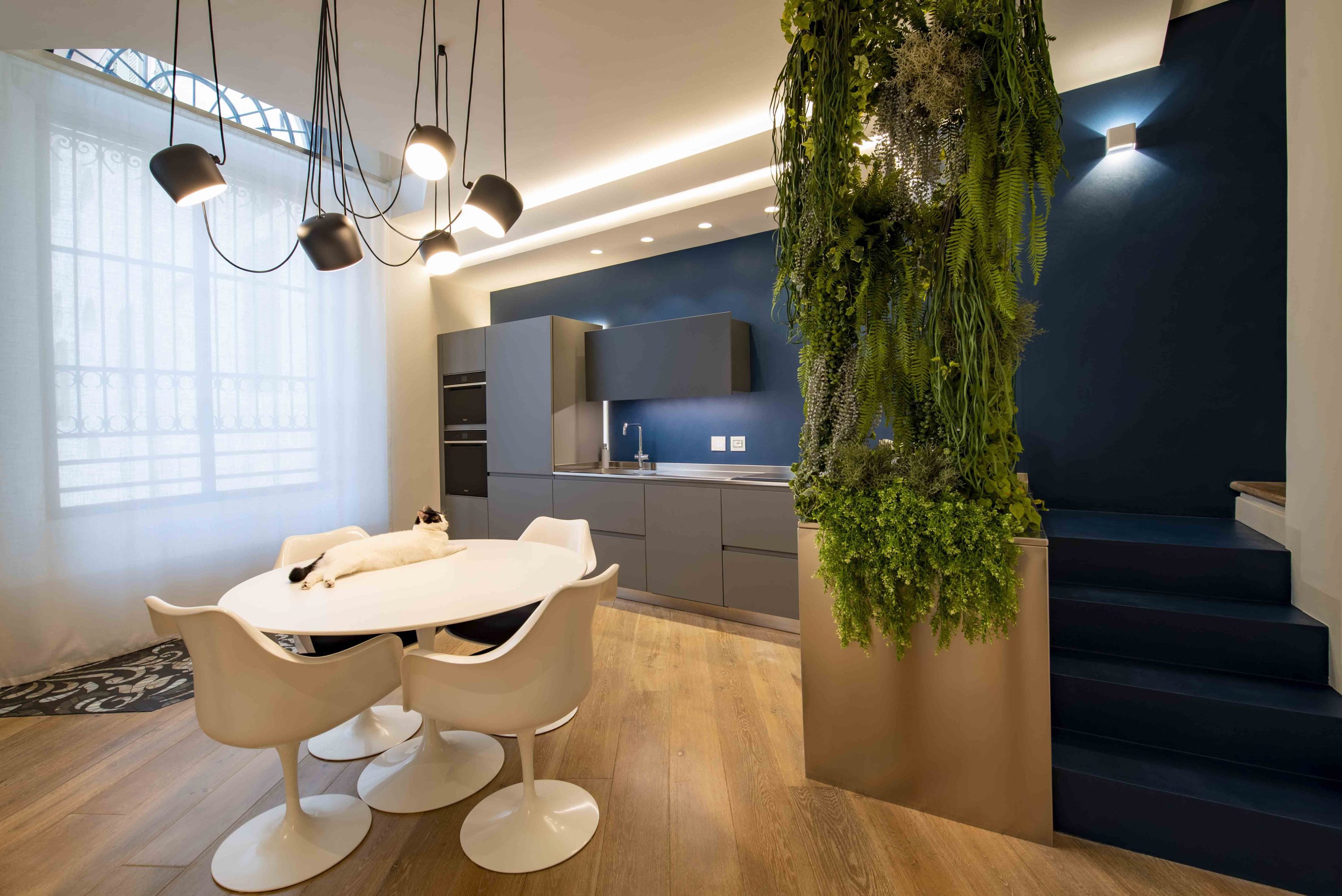 Open Space Moderno Cucina laccata ed acciaio e Zona Pranzo con Verde Verticale – MICHELE VOLPI STUDIO INTERIOR DESIGN Cucina open space di design con tavolo rotondo bianco, sedie coordinate e gatto domestico; sullo sfondo parete blu scuro, scala moderna e giardino verticale interno.